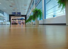 Aeroporto | Riunione tra Gesap ed ENAC per migliorare i servizi ai passeggeri