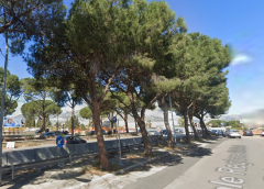 Ponte Corleone: cantieri, deviazioni e taglio alberi. Ecco il piano estivo sulla viabilità