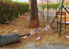 Zisa, patrimonio dimenticato: il degrado che ostacola